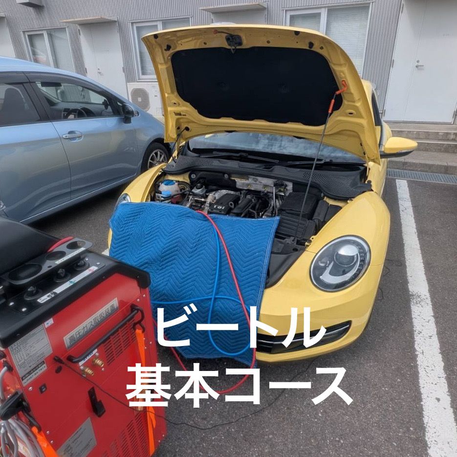 施工したフォルクスワーゲン ビートルの外観